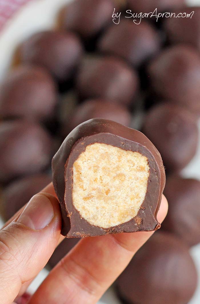 Chocolate Peanut Butter Balls only require a few ingredients and they are so easy to whip up. Oh, and they’re super addicting....like chips...I bet, you can’t eat just one.