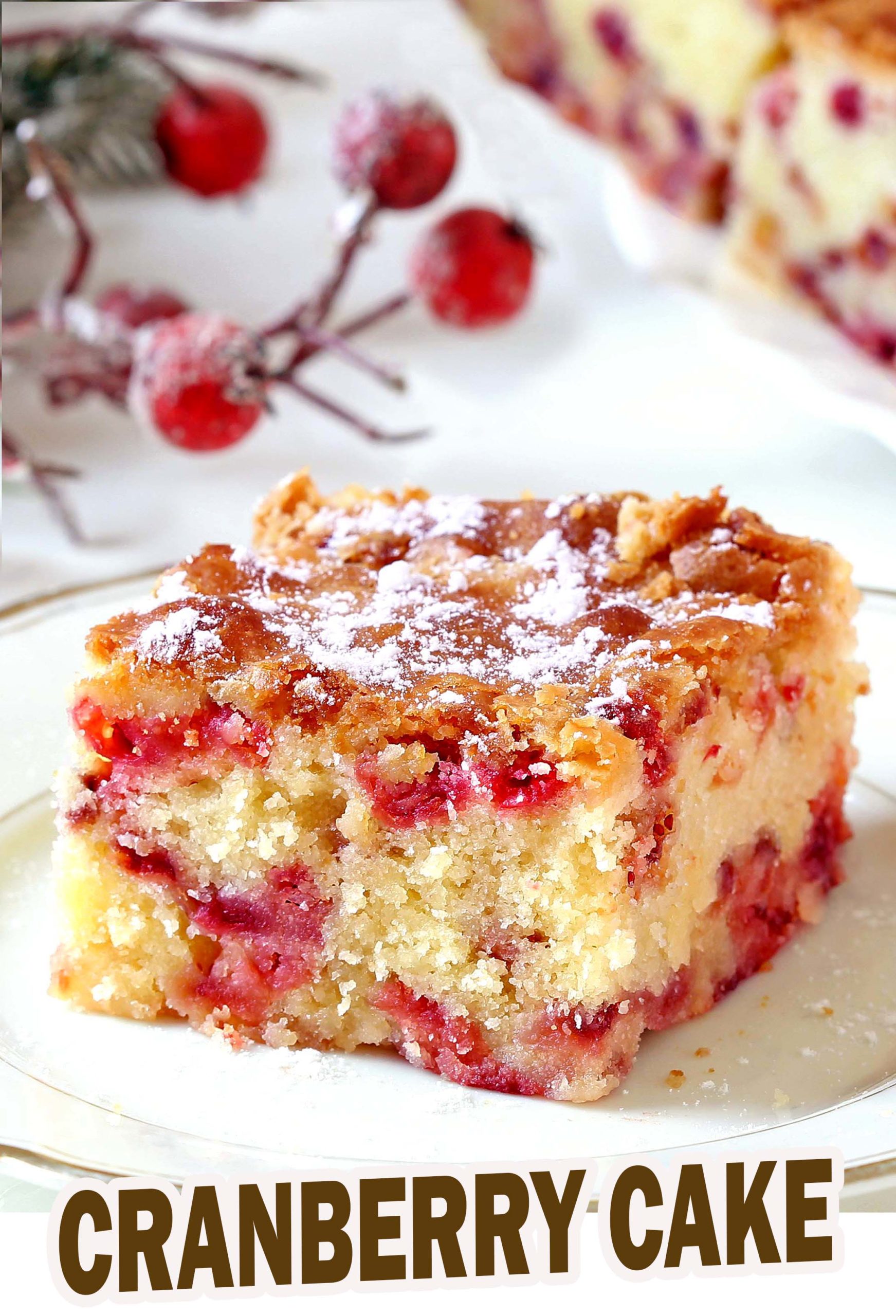 Easy Cranberry Cake - Moist, dense with a nice balance of sweetness and tartness in every bite, is a perfect dessert for Christmas. It’s also seriously easy: one bowl, 10 minutes of mixing and just pop it in the oven.