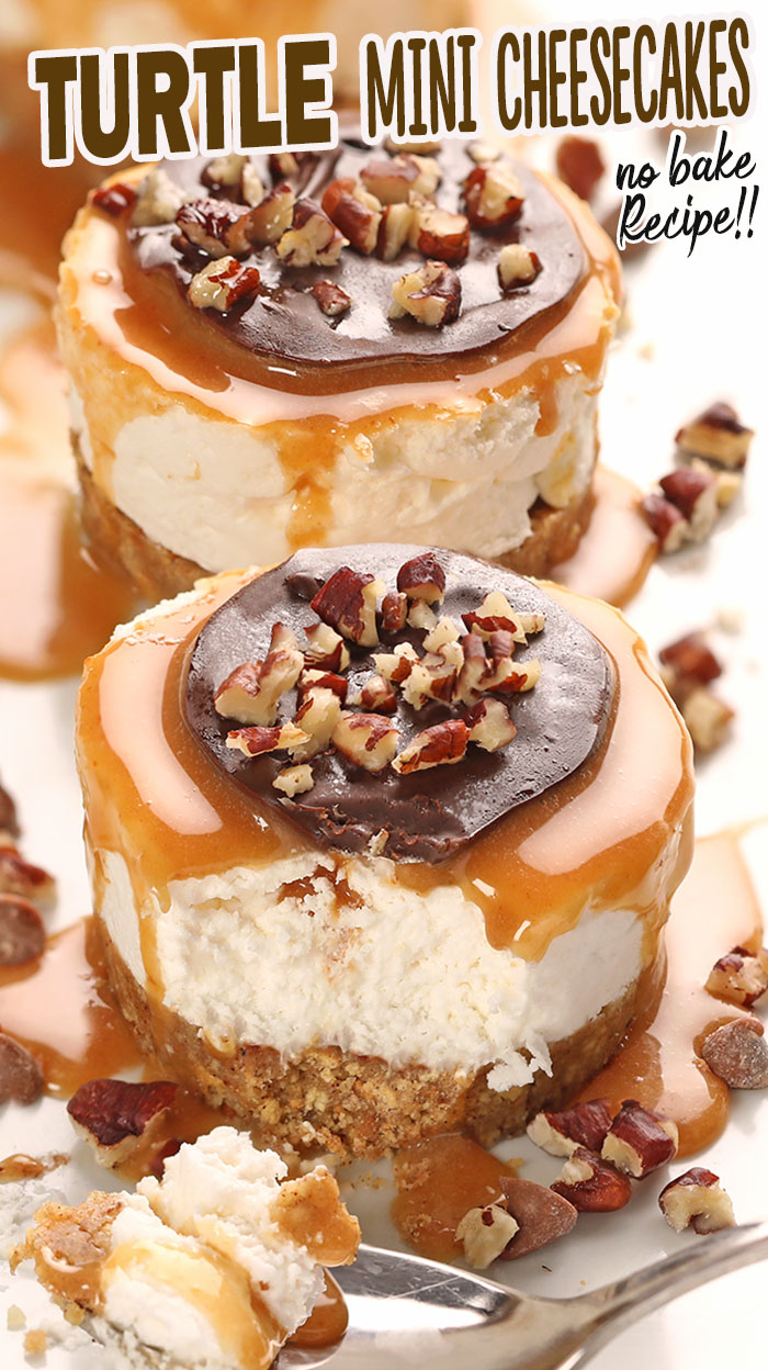 No Bake Turtle Mini Cheesecakes are easy creamy mini cheesecakes topped with gooey chewy caramel, melt-in-your-mouth chocolate, and crunchy pecans all throughout.
